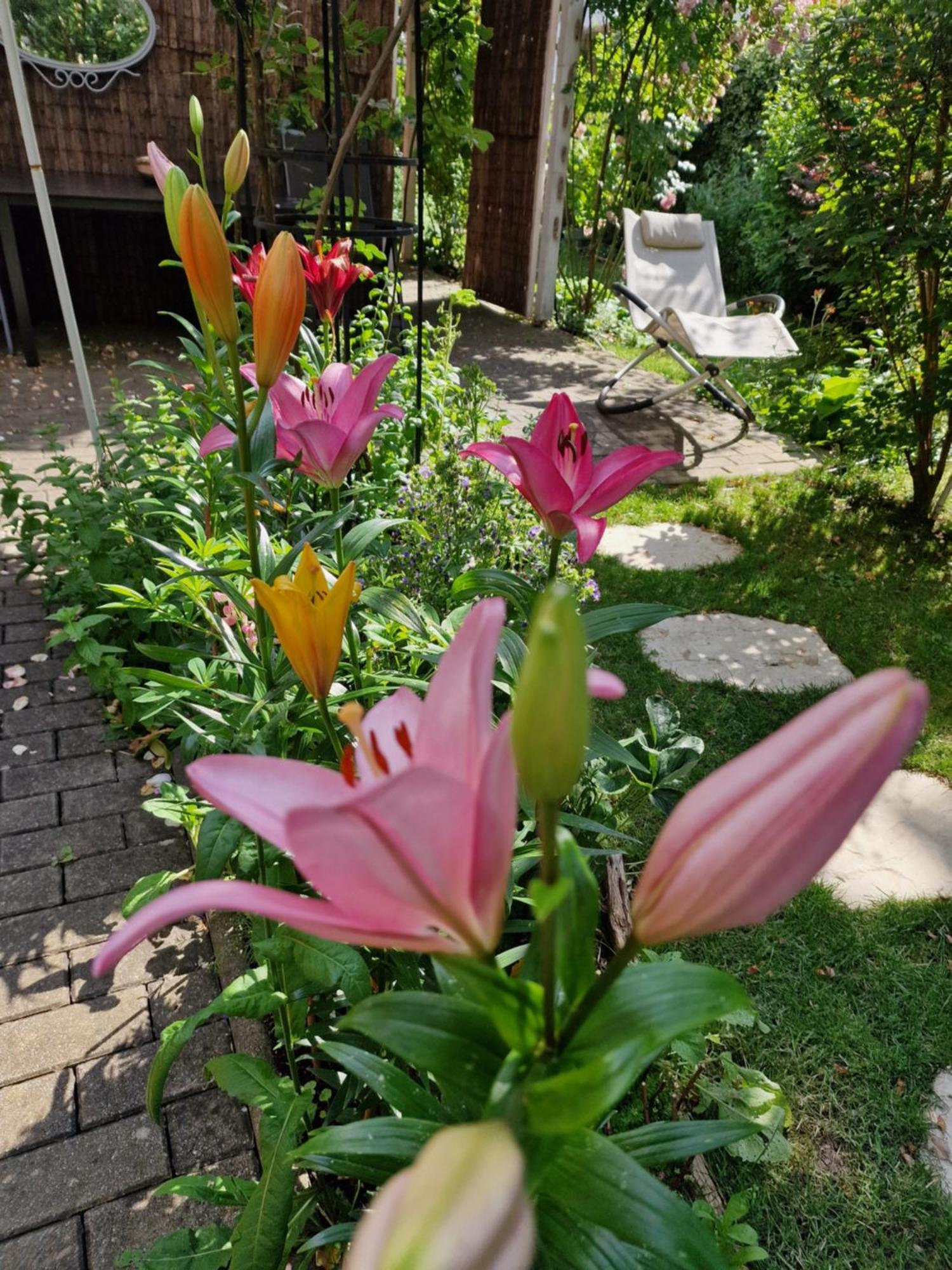 Ferienwohnung Domschatz 나움부르크 외부 사진